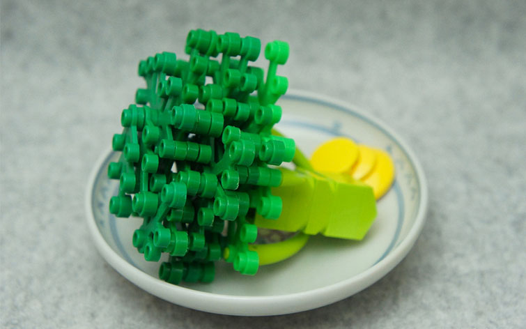 Lego Bricks Broccoli Tary Japanese Artist