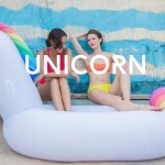 Unicorn Pool Float