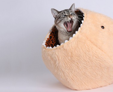 Hairy Cat Ball Kitty Bed